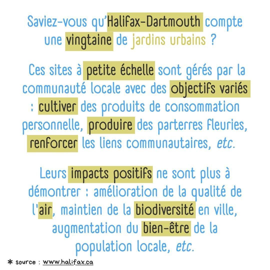 AF.Halifax tweet media