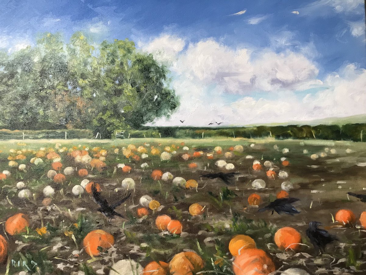 Pumpkin Field! Enjoyed painting this while the crows frolicked about in it. #landscapepainting #pumpkins #farming #peakdistrict #britishbirds