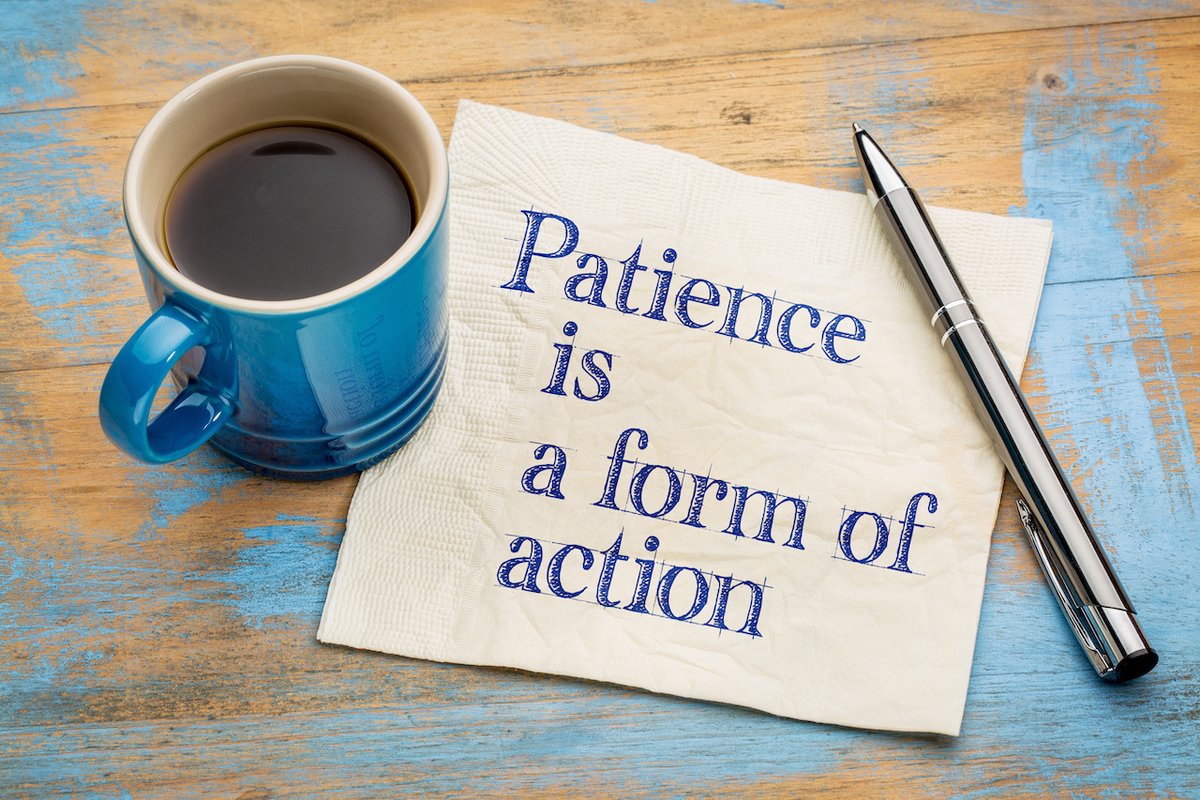 Can learning patience actually be an active effort? A 3 minute Side Trip with some reflection on my personal path to learning patience. bit.ly/3PdYivn #BumpInTheRoad