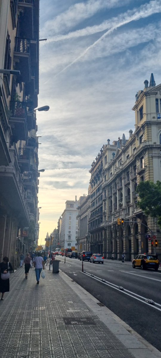 urda👹 tweet media