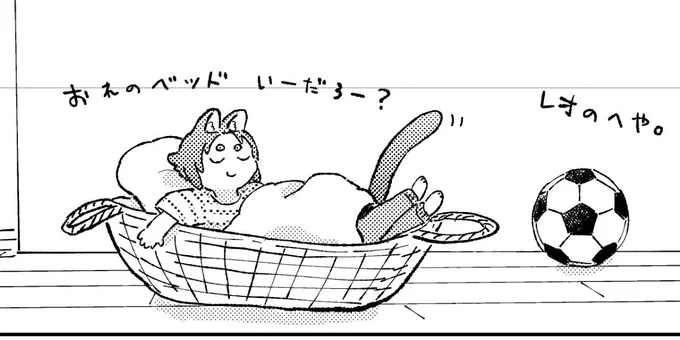進捗。 kncg夫妻のとこのroねこちゃん。 自慢のカゴベッド🧺⚽️