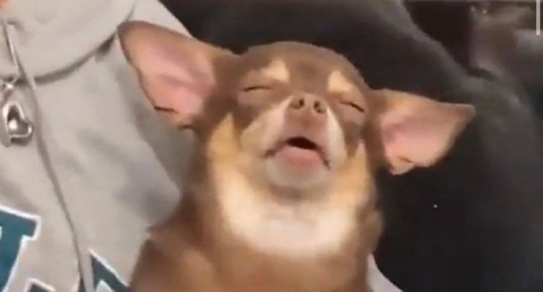 starry_alexia's tweet photo. “food gives you energy”

me after eating: https://t.co/qvgxLRVm8Z