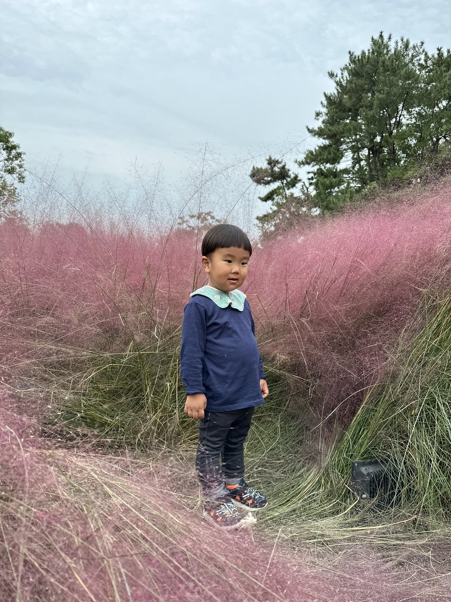 hothotkmt's tweet photo. 息子さん
2歳9ヶ月で約17kg…重い https://t.co/b4wuecjr4P