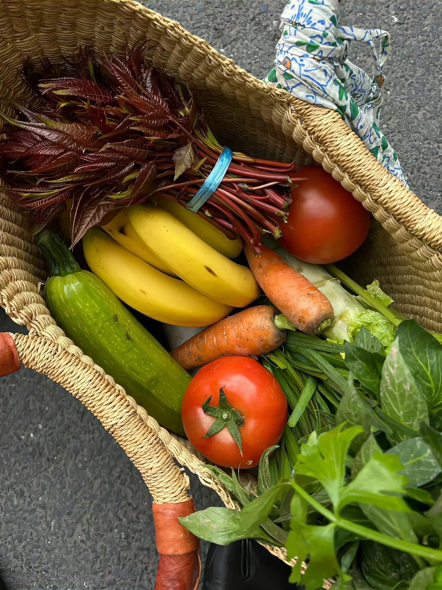 Pick up the fresh vegetable in your healthy .🥦 “Greens are my power source, fueling me with energy and vitality.”🍅🥦🧺