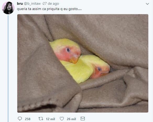 Aline Moraes tweet media