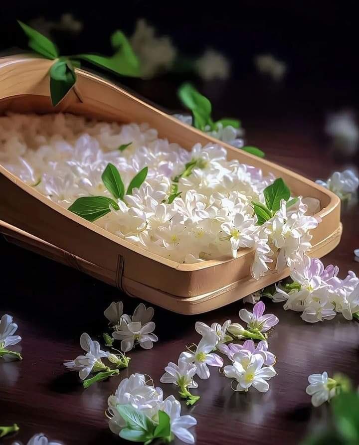 SWAAM7's tweet photo. سعة بيوتنا بزيادة مساحة الأرض ..
ولكن سعة قبورنا بزيادة مساحة العمل الصالح ..
لذا " وَتزَوَّدُوا فَإِنَّ خَيرَ الزَّادِ التَّقوَى". https://t.co/q78c9kYCrz