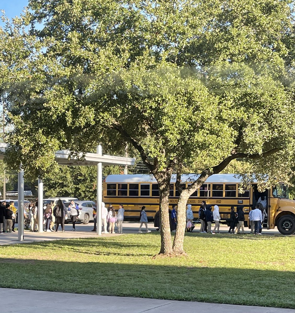 Dana Patterson tweet media