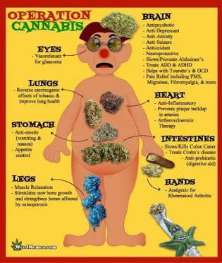 David Dinenberg tweet media