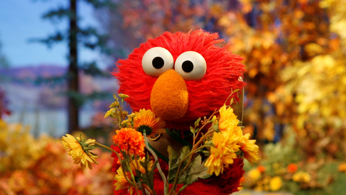 elmo's tweet image. Elmo stopped to smell the roses today. They were really nice but they weren't roses!