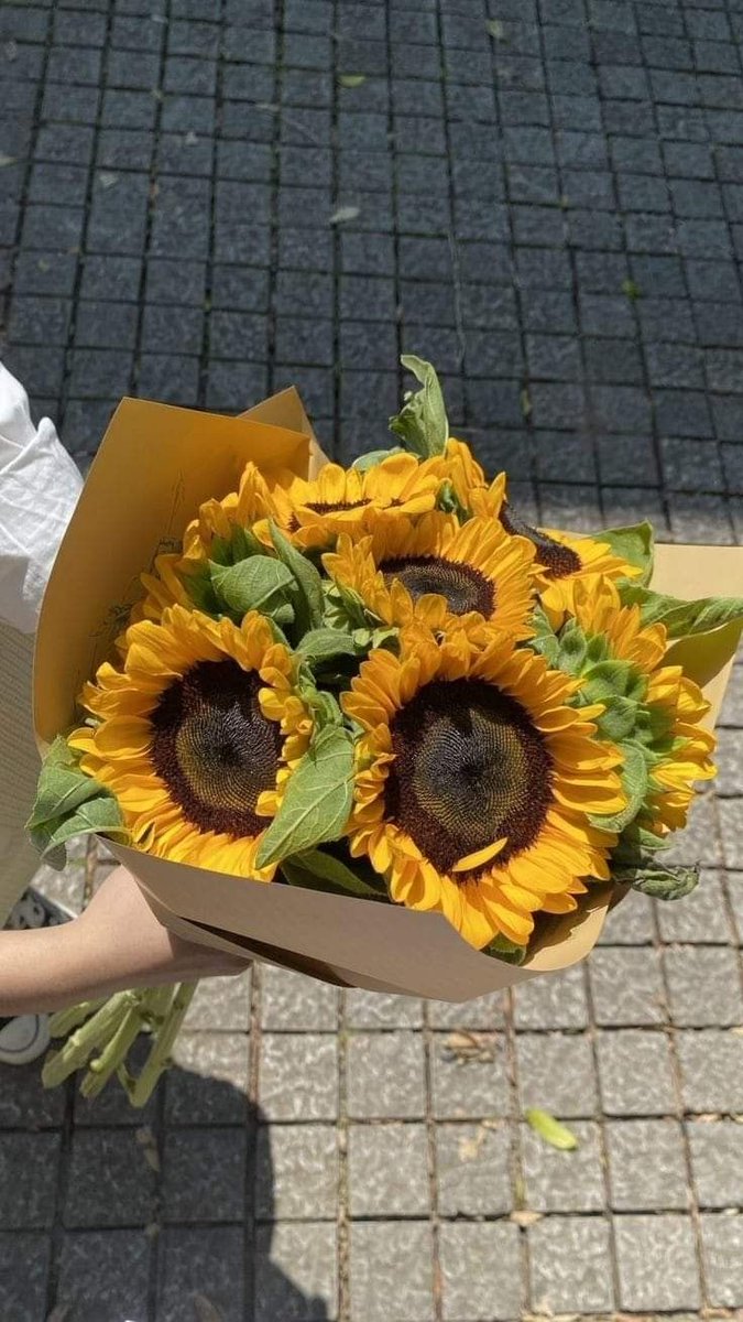 sunflowerchives's tweet photo. seeing a gorgeous sunflower changes my mood completely 🌻💛 https://t.co/jjPyfBE9jT