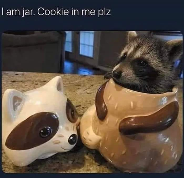 WholesomeMeme's tweet photo. https://t.co/JGwPeWJETB