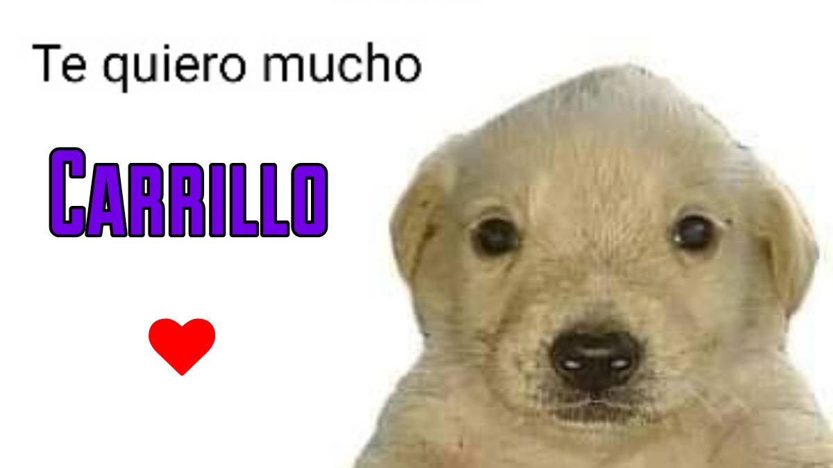 diego_gh2004's tweet photo. @Carrillo_Q2 https://t.co/zzmhdZfdWq