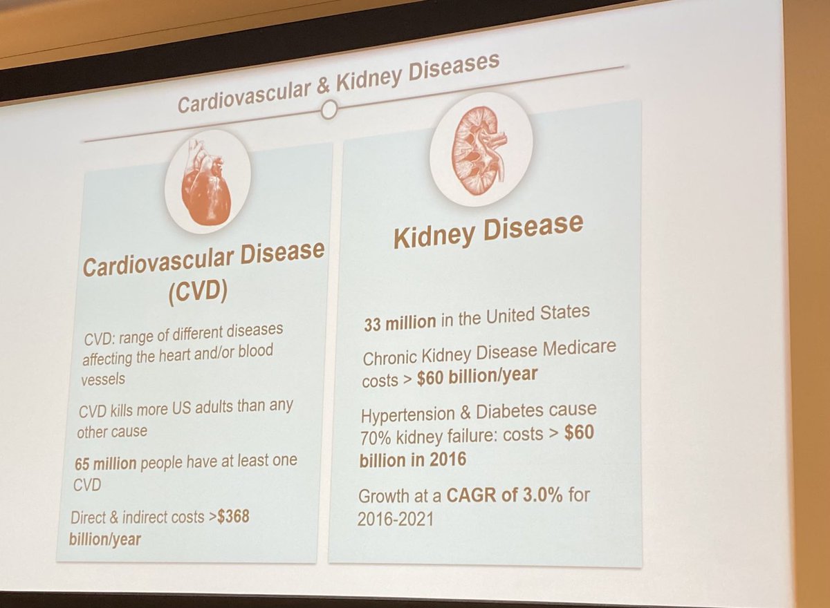 annetkiraboc1's tweet photo. Fantastic talk by ⁦@jdimig⁩ on Soluble Epoxide Hydralase Inhibition in Cardiovascular and Kidney Diseases at the 19th International Winter Eicosanoid conference! https://t.co/FJxIB9tDXb