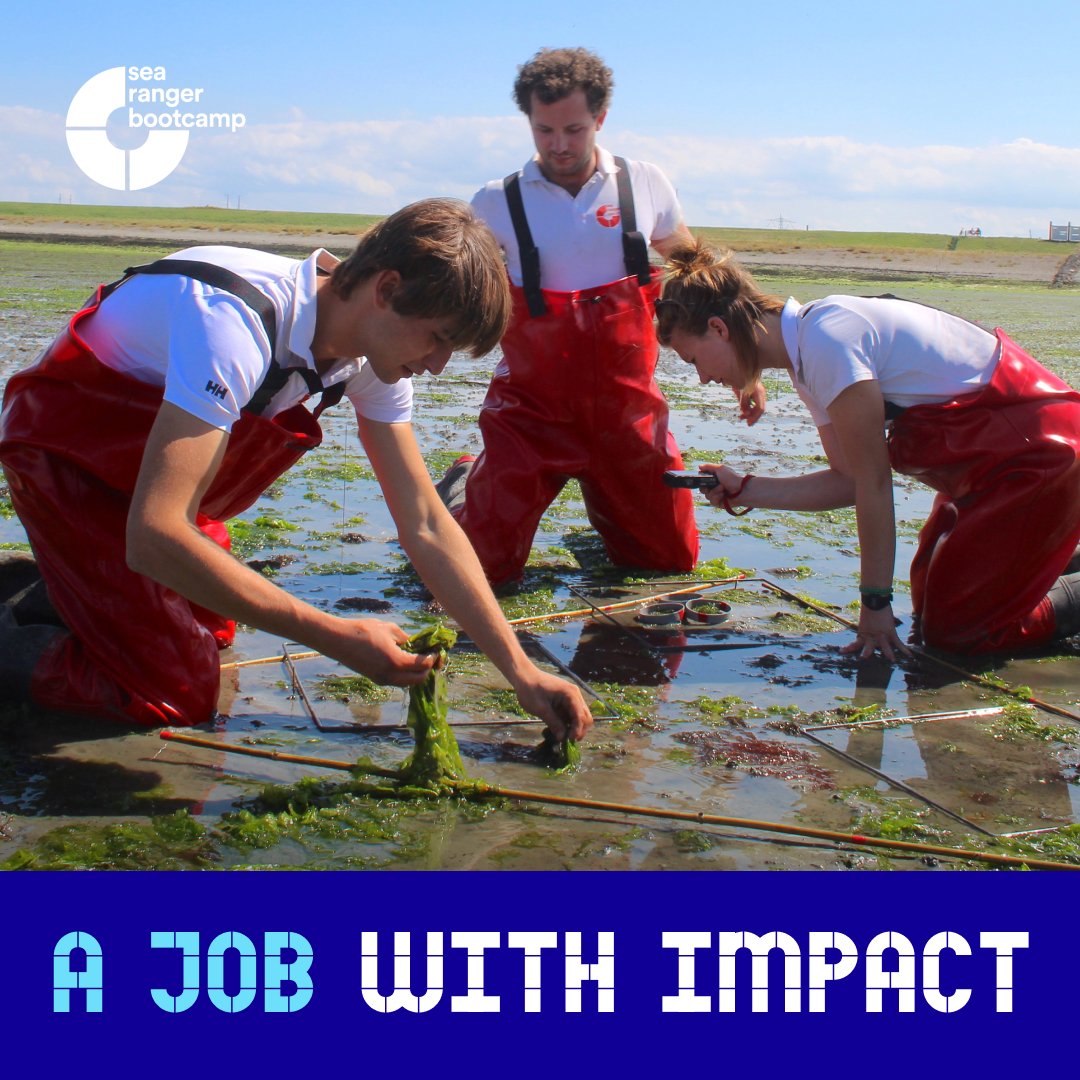 Next year our Sea Rangers will be restoring coastal nature in The Netherlands and the south of France. To learn more about how to join our crew as a Sea Ranger, sign up to our Sea Ranger Bootcamp open day on October 28th in Amsterdam. Sign up now - form.asana.com/?k=47cHxoKryK7…