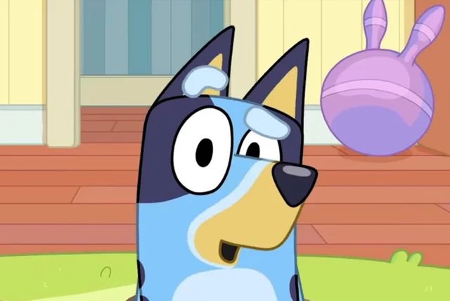 Marble Domme 🐾 tweet media