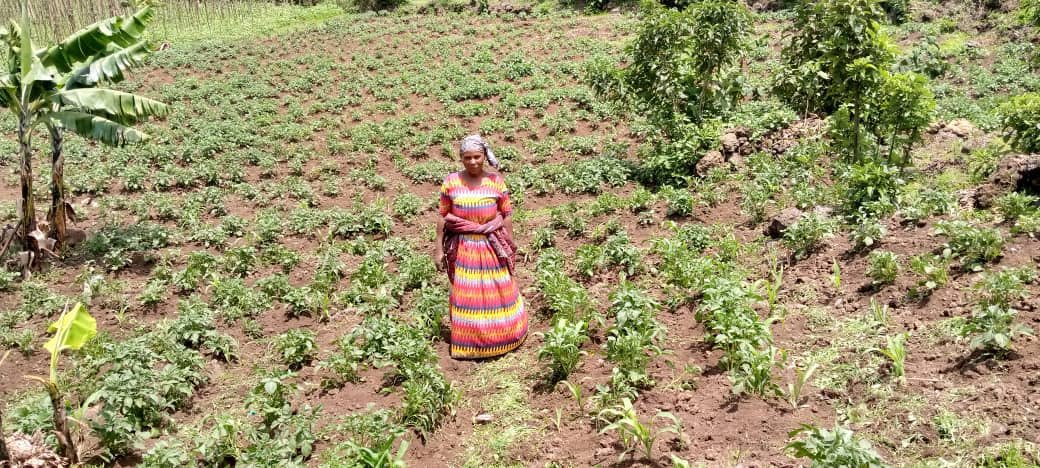 PDMSecretariat's tweet photo. Howโs your evening?
We bring you moments of select PDM beneficiaries in Kigezi sub-region at work. They are using the Parish Revolving Funds to boost their activity and production.
The rains are here. We look forward to a good season #PDMImplementation https://t.co/dwKVYu4vlU