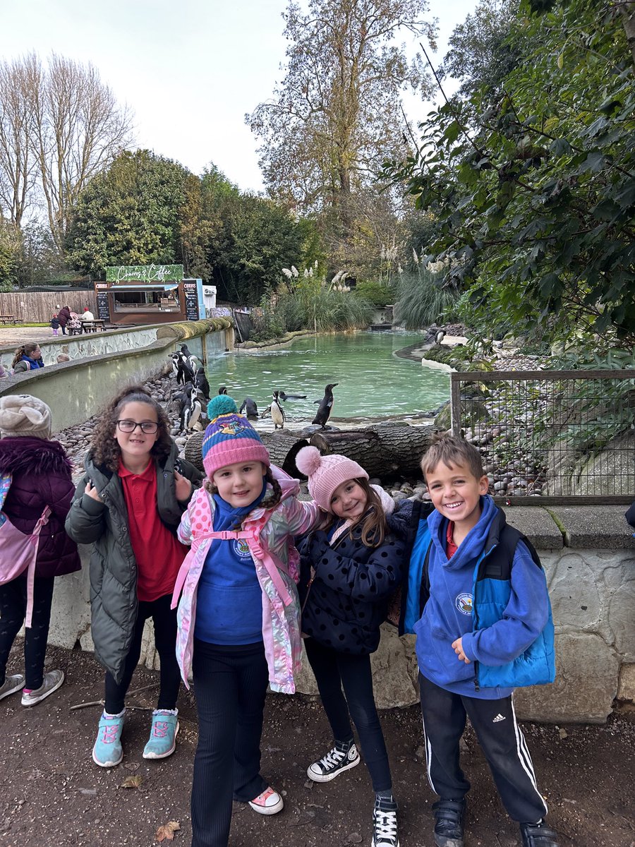We have had a brilliant day at the zoo, we used our scientific language to describe the animals. 🐒🐍🐆🦓🦒