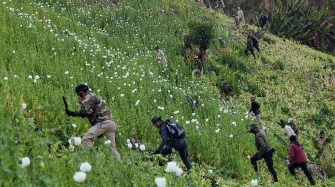 meiteiheritage's tweet photo. Cross-border Kuki narco-terrorists are the real threats to India’s national security and human lives. They indulge in the illicit drug business to raise funds for sponsoring terrorism to wipe out the indigenous people of Manipur.

@HMOIndia, your attention is highly needed to consider the abrogation of SoO agreements to protect Manipur and India from #Narcoterrorism 

#KukiZoNarcoTerroristXposed #AbrogateSoO #DrugsHataoBharatBachao
@dg_ncb @PMOIndia @NBirenSingh @official_dgar @NENowNews @CBIHeadquaters @NIA_India @ndtv
https://t.co/sgyWpO9Ld8