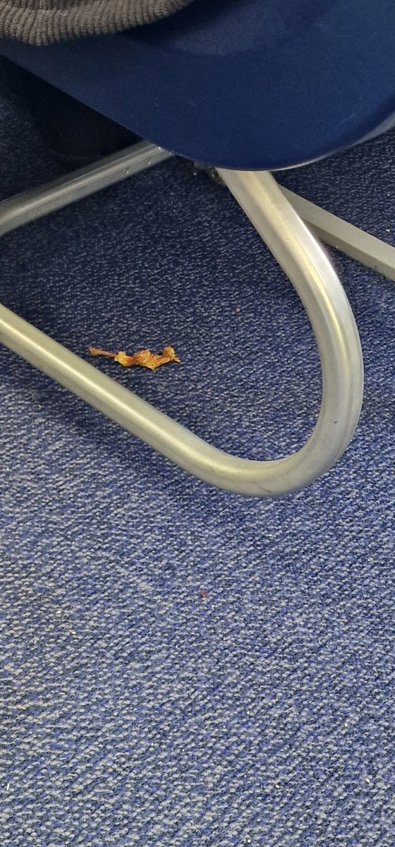 SarahJKinrade's tweet photo. Fully prepared for budget with @Ryanair but surely cleaning happens more than once a month 😷 #bogging https://t.co/yzjVaeyXRW