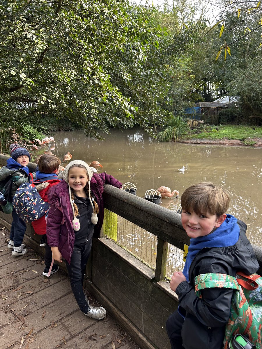 We have had a brilliant day at the zoo, we used our scientific language to describe the animals. 🐒🐍🐆🦓🦒