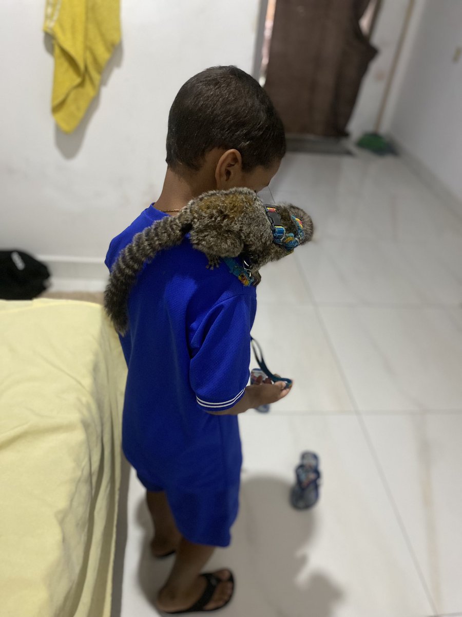 😂❤️🐒