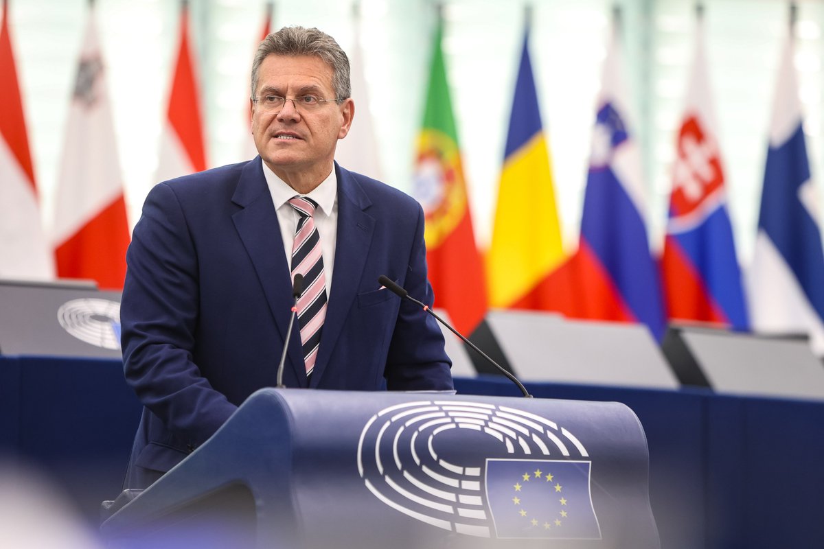 The @EU_Commission's work programme only covers one out of the 4 #animalwelfare proposals - the Transport Regulation. ''Work is ongoing on the other three'' said @MarosSefcovic, in the same vague answer the EC has given in recent weeks. This is not enough, we want a timeline!