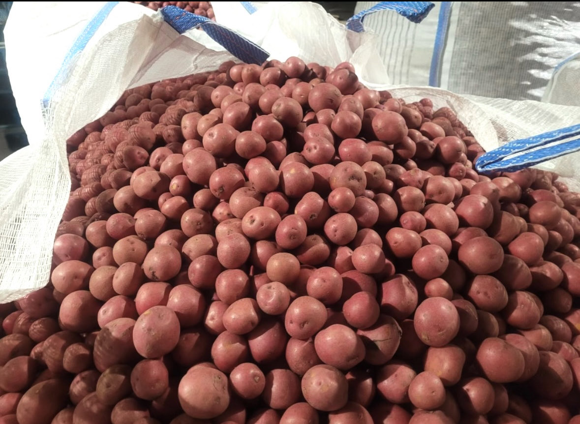 Paul Sawatzky tweet media