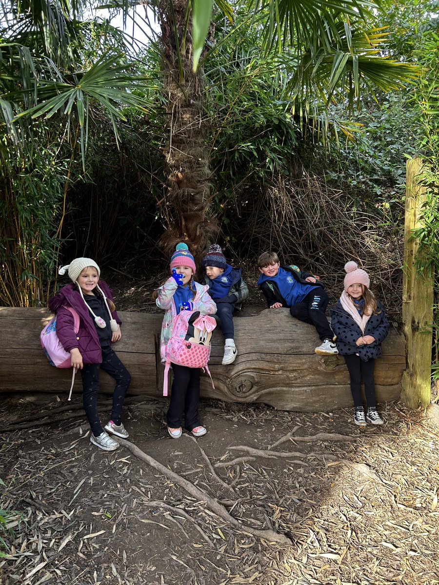 We have had a brilliant day at the zoo, we used our scientific language to describe the animals. 🐒🐍🐆🦓🦒