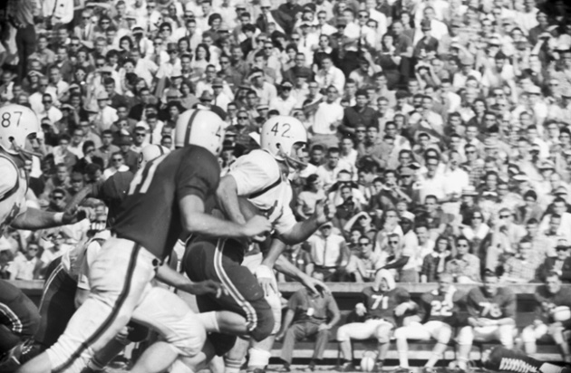 UF Libraries tweet media