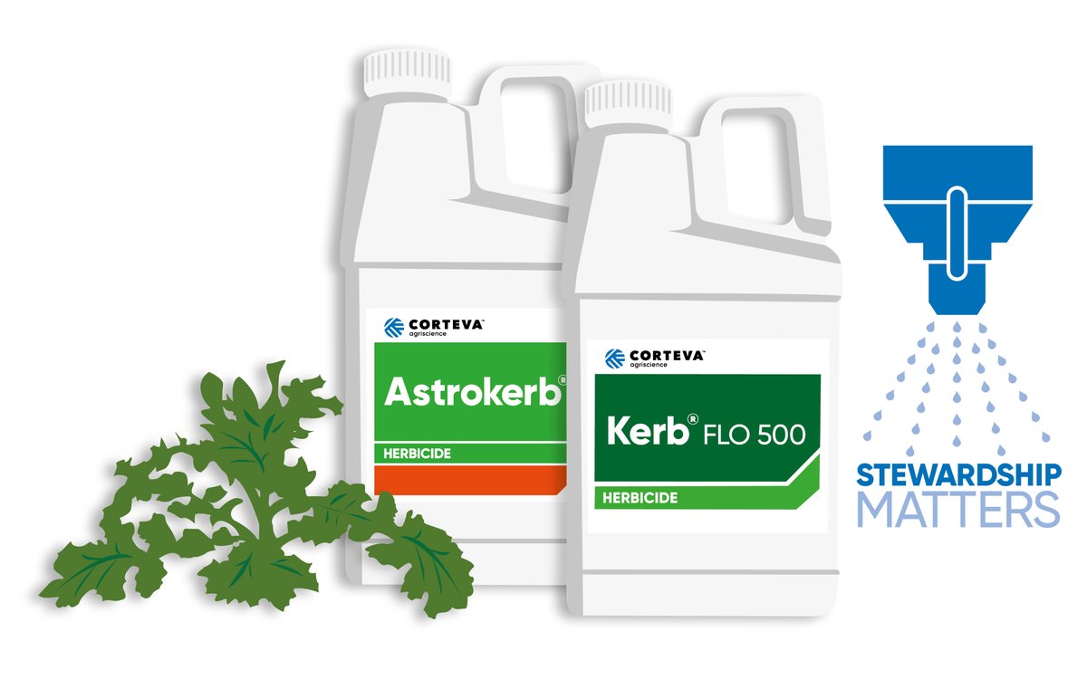 NEWS: Corteva has launched a new #Propyzamide Knowledge Hub for #OSR growers!
➡️ Online resources explaining how propyzamide works, how to apply it to achieve the best outcome &amp; practical advice on how to use it responsibly.
corteva.co.uk/propyzamide
#Astrokerb
#Kerb
#Stewardship