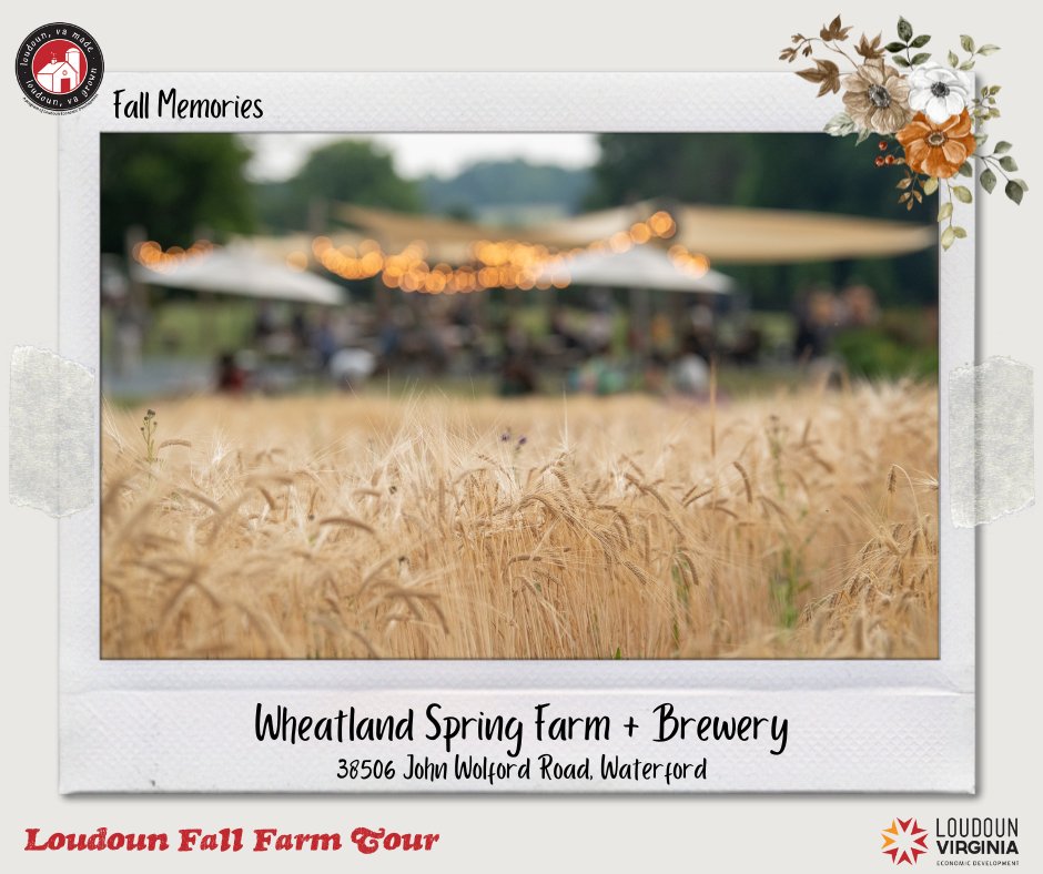 Loudoun Farms (@loudounfarms) on Twitter photo #LoudounFarmTour - <a href="/WheatlandSpring/">Wheatland Spring Farm + Brewery</a> Farm + Brewery
Enjoy a cold beverage while learning about the path from grain to beer from the owners of Wheatland Spring Farm + Brewery.
Oct 21-22 🍂 hubs.li/Q0237Q650 #LoudounFarmTour - <a href="/WheatlandSpring/">Wheatland Spring Farm + Brewery</a> Farm + Brewery
Enjoy a cold beverage while learning about the path from grain to beer from the owners of Wheatland Spring Farm + Brewery.
Oct 21-22 🍂 hubs.li/Q0237Q650