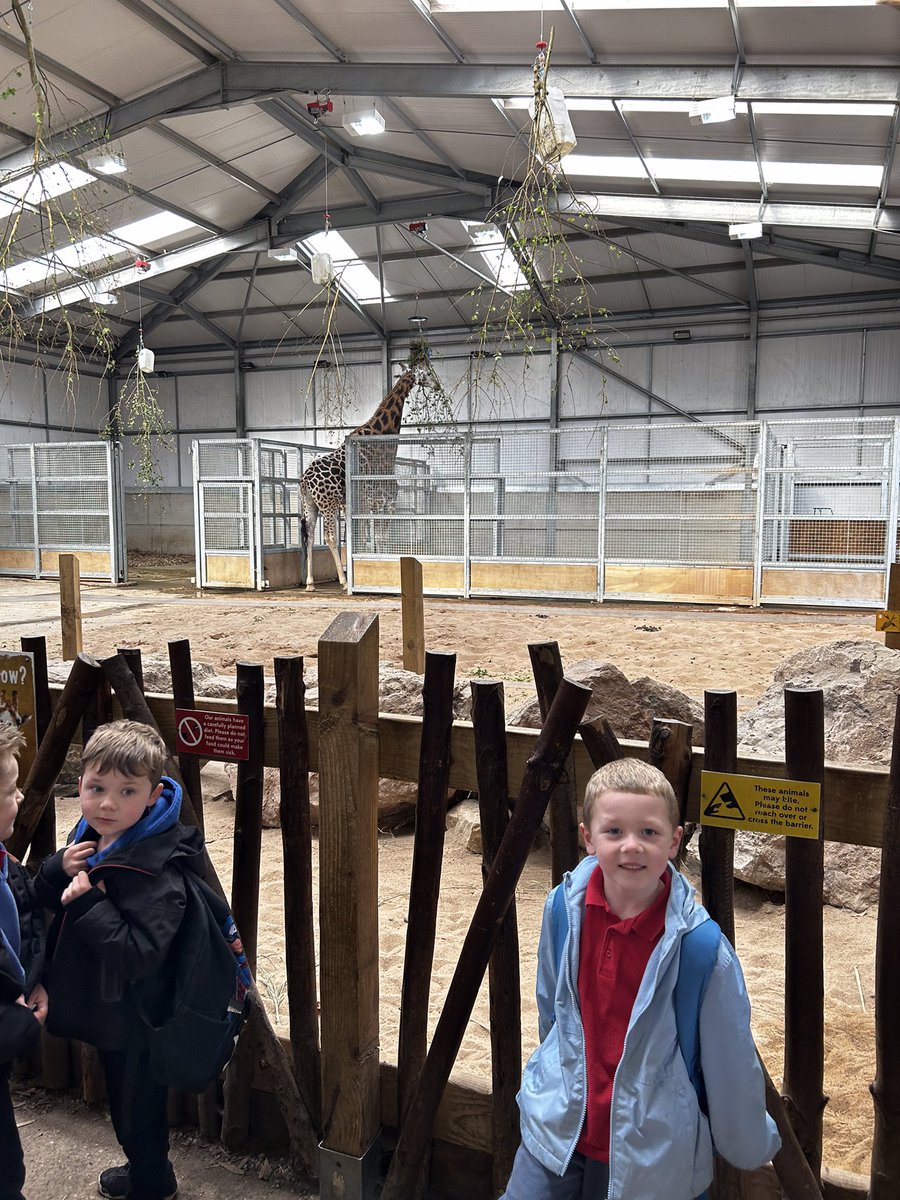 We have had a brilliant day at the zoo, we used our scientific language to describe the animals. 🐒🐍🐆🦓🦒