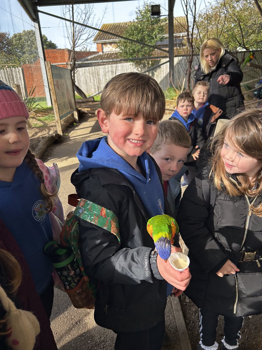 We have had a brilliant day at the zoo, we used our scientific language to describe the animals. 🐒🐍🐆🦓🦒