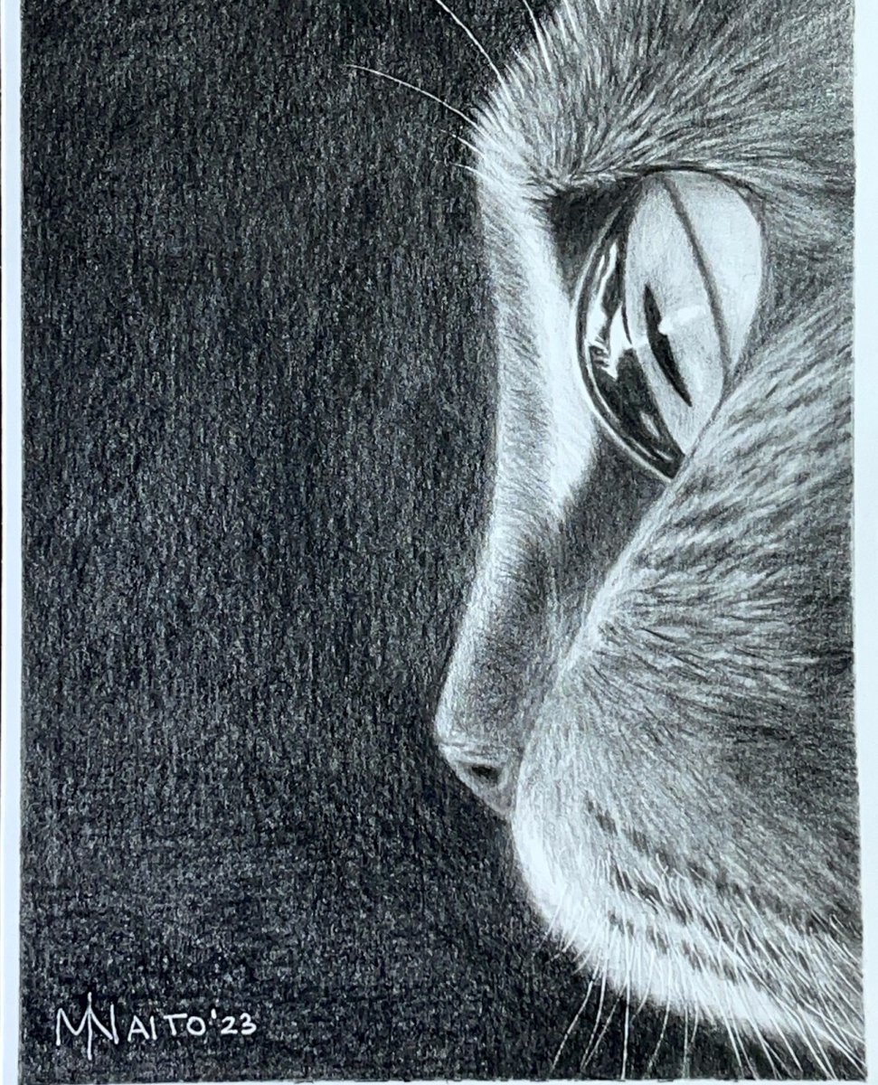 Doodle Addicts tweet media