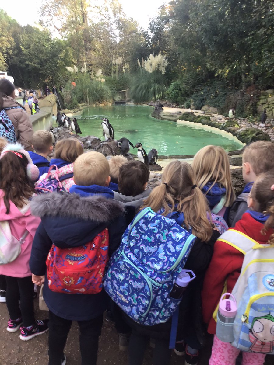 Year 1 had the best day at Twycross Zoo 🦒
