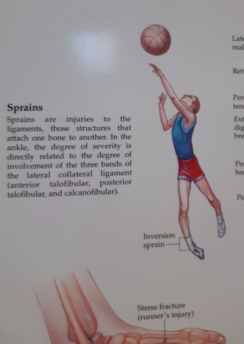 advantagephysio's tweet image. The worst basketball player ever.
