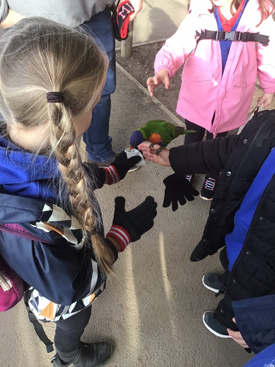 Year 1 had the best day at Twycross Zoo 🦜