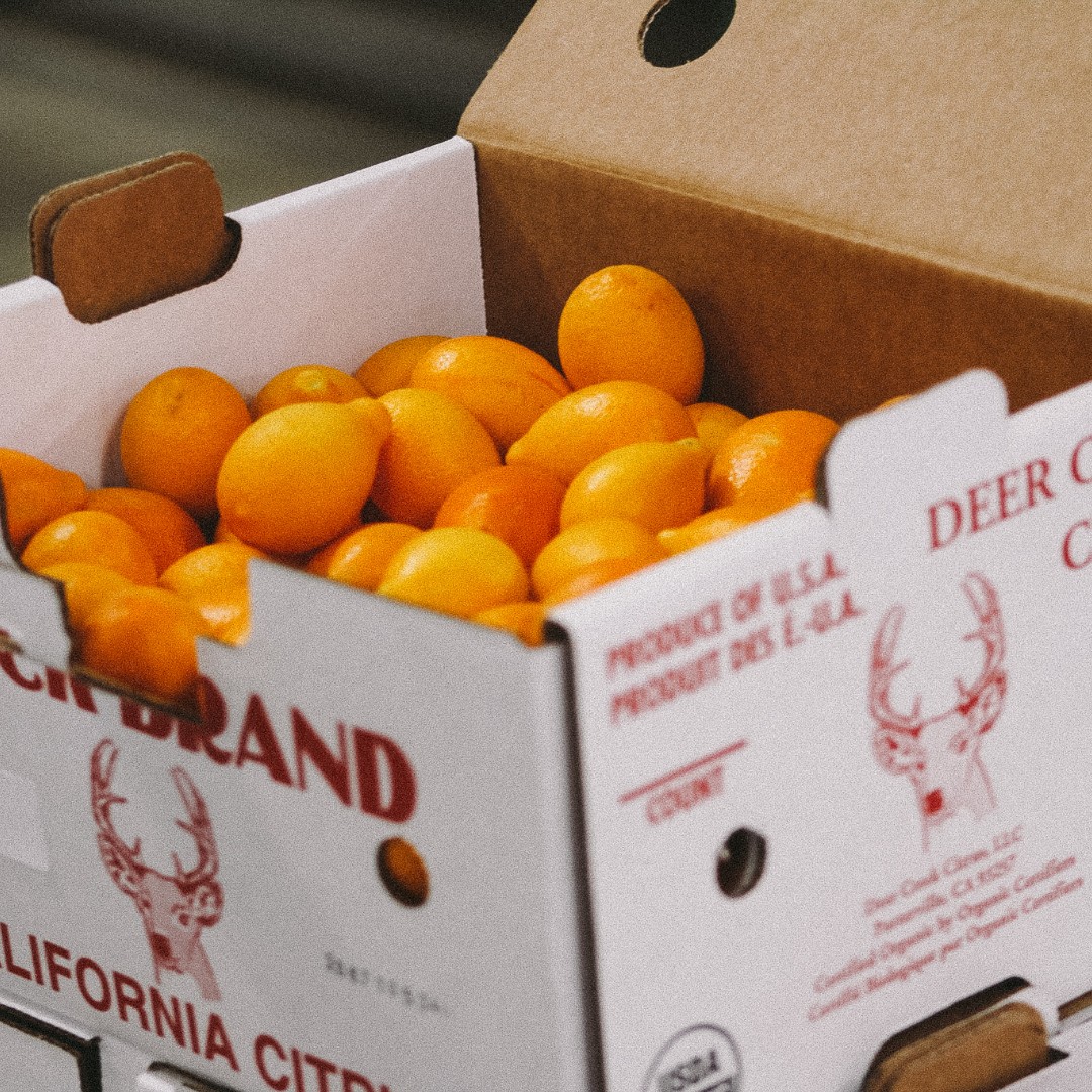 Buck Brand Citrus tweet media