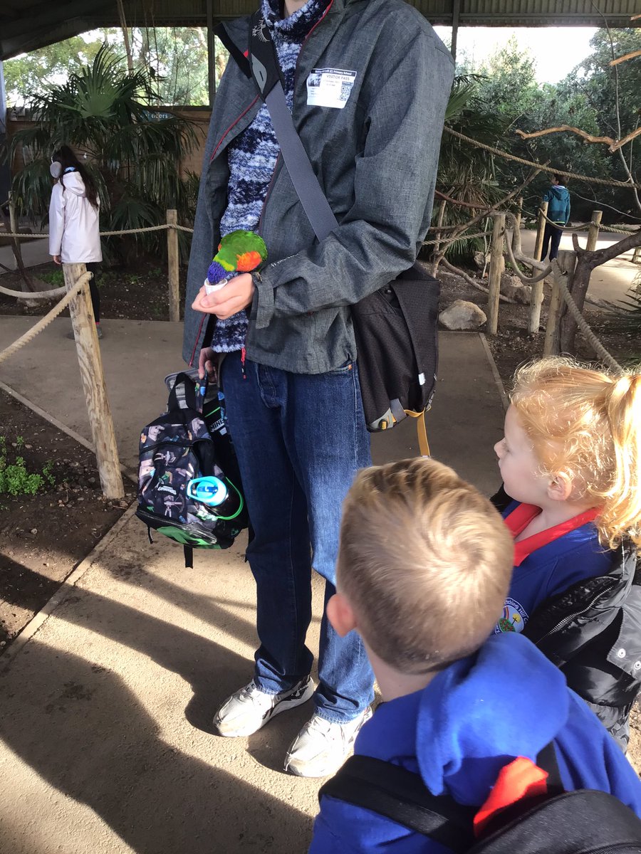 Year 1 had the best day at Twycross Zoo 🦒