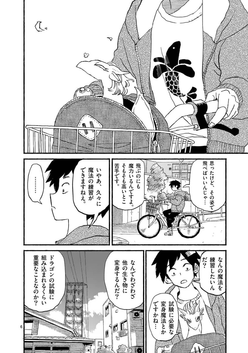 (3/6)