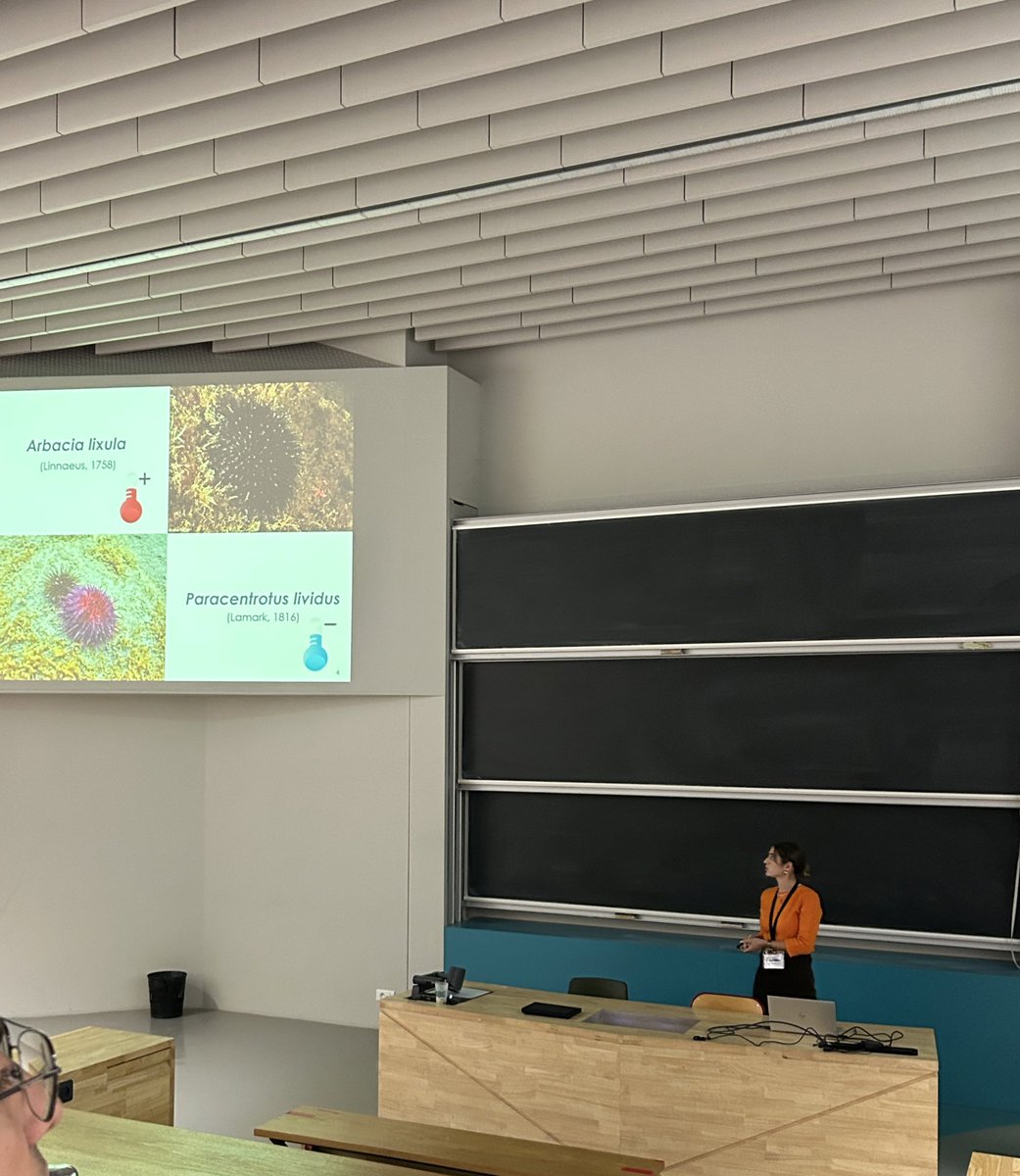 EchinoAdaptive's tweet image. We finished our second day at #ECE11 with the oral presentations of @huete_martin and @SaraGonzalezD ‼️

Good job girls💪🏼

#AdaptiveTeam #echinoderms #marineinverts