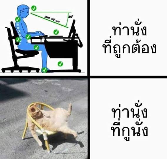 ใครปวดก่อนไม่รู้ แต่ผมปวดหลัง 🥹
