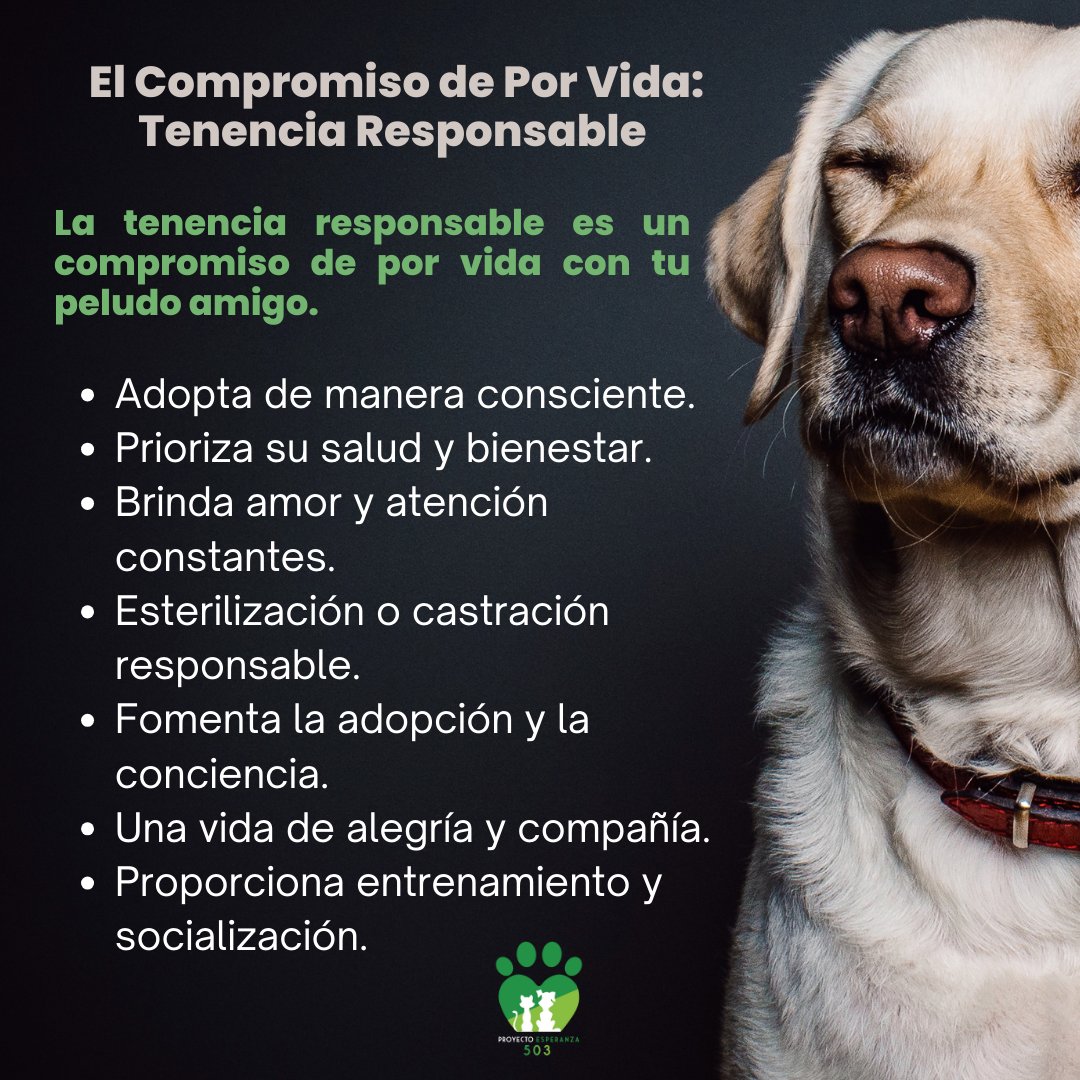 PEsperanza503's tweet photo. Una promesa de por vida a tus amigos peludos. 🐾 La tenencia responsable es un compromiso eterno lleno de amor y lealtad. ❤️🐶
#AmorIncondicional #CompromisoEterno https://t.co/zLGB5sVC4C