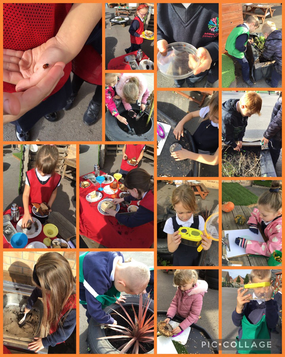 Sian Hall tweet media