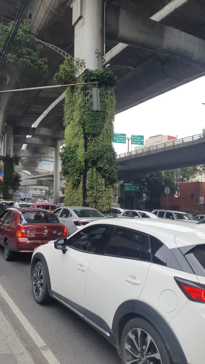 adabarrazap's tweet photo. Congestión vehicular por manifestación de personas frente al Poder Judicial #Periférico https://t.co/RmPVaZ6EGH