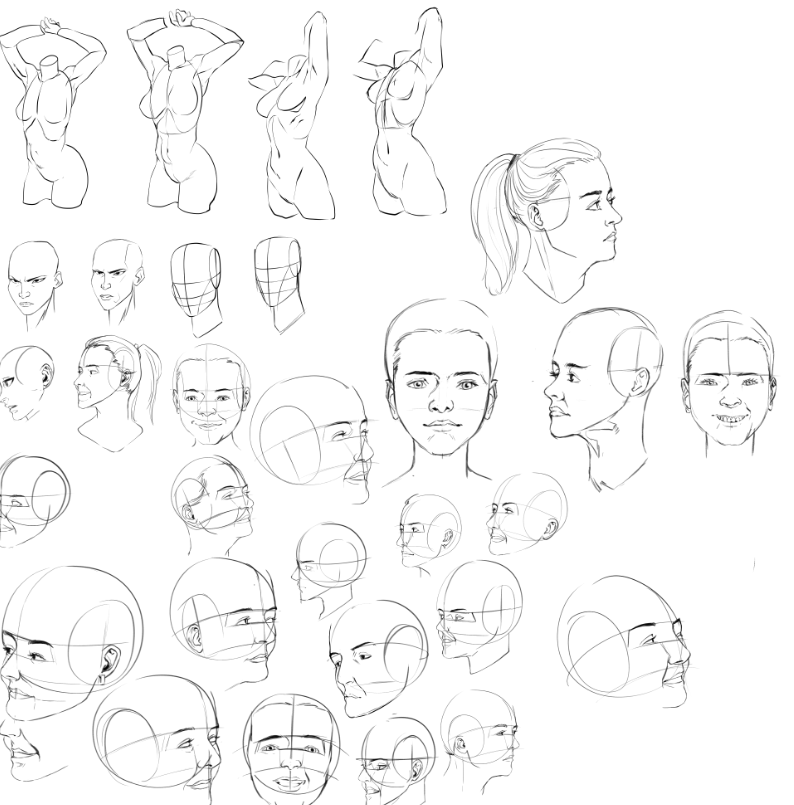 stand_comic's tweet image. I suck at face so practicing with real faces..
#art #facestudy