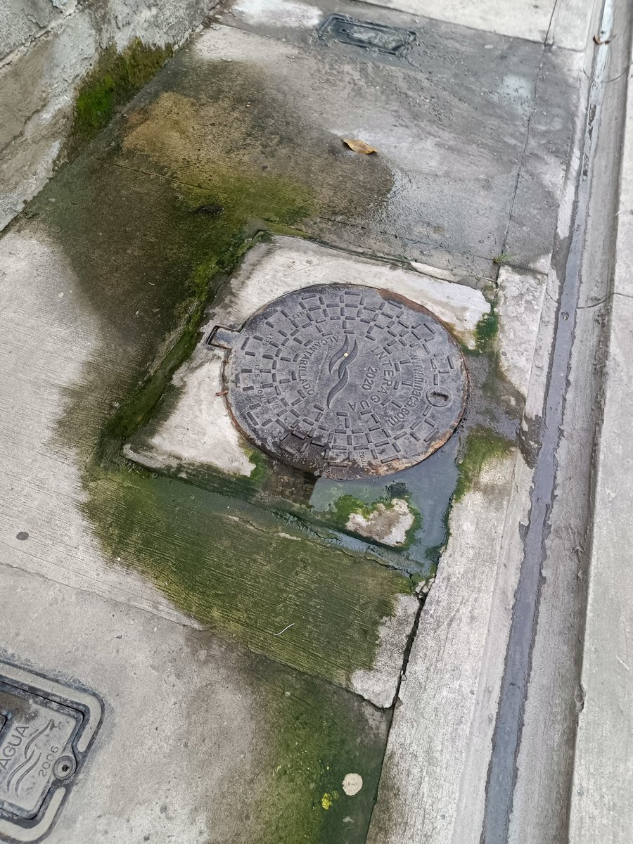 Edison Cusme tweet media