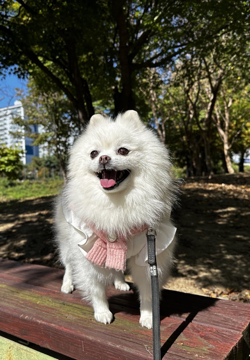 자몽선배 등장😛🌟

#개강룩 #ootd