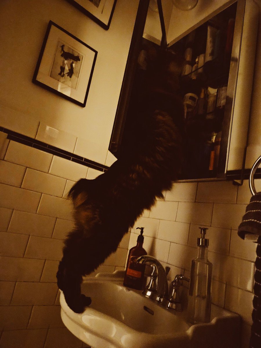 Talk to your cats about prescription drug use. Stop addiction before it starts!