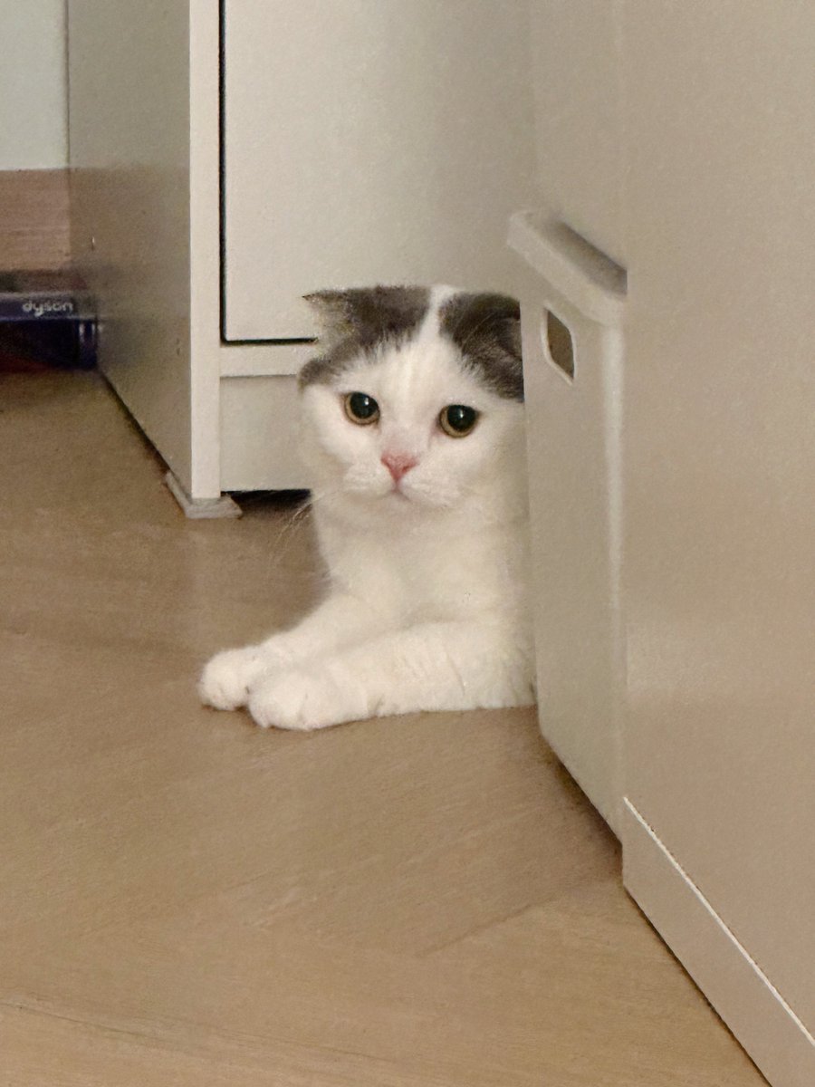 งอลอะไรไม่รู้